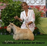 ARABELLA´S KIND OF MAGIC